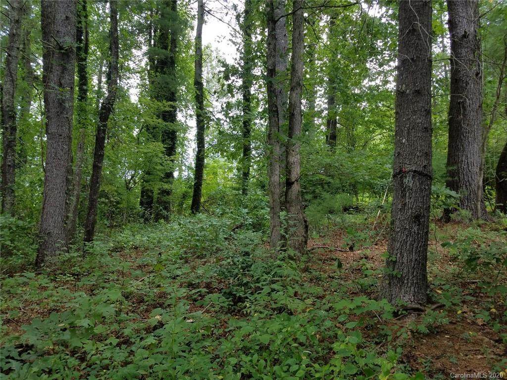 TBD Persimmon Woods Lane - Photo 1