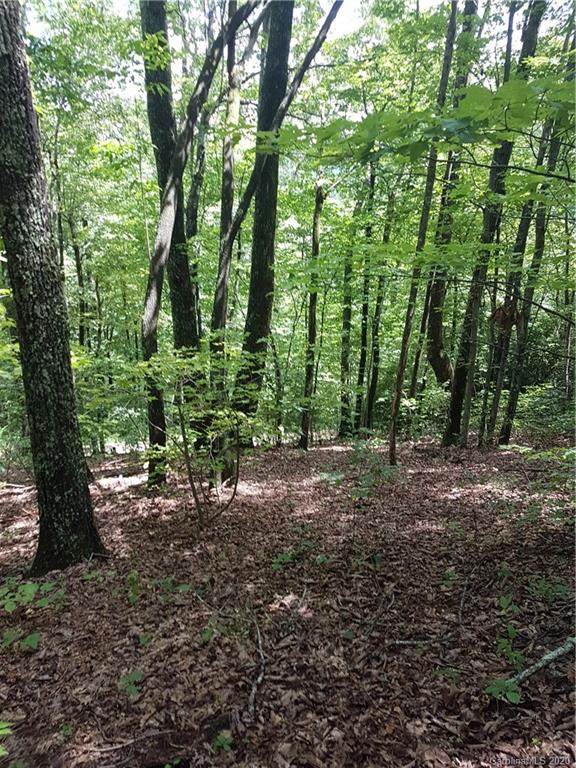 0000 W Fork Creek Road - Photo 1