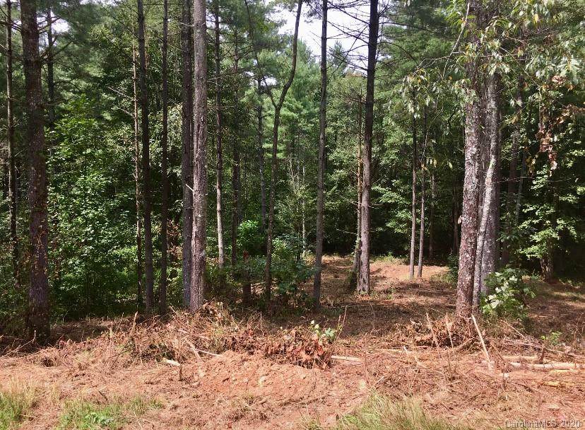 3381 & 3405 Peninsula Pointe Drive - Photo 1