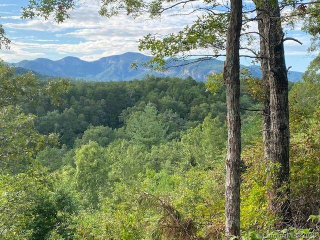 0000 Peaks Drive - Photo 1
