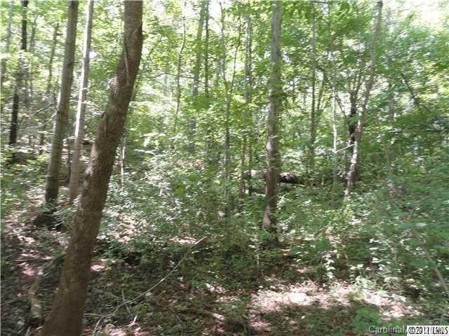 6767 Nc 150 Highway - Photo 1