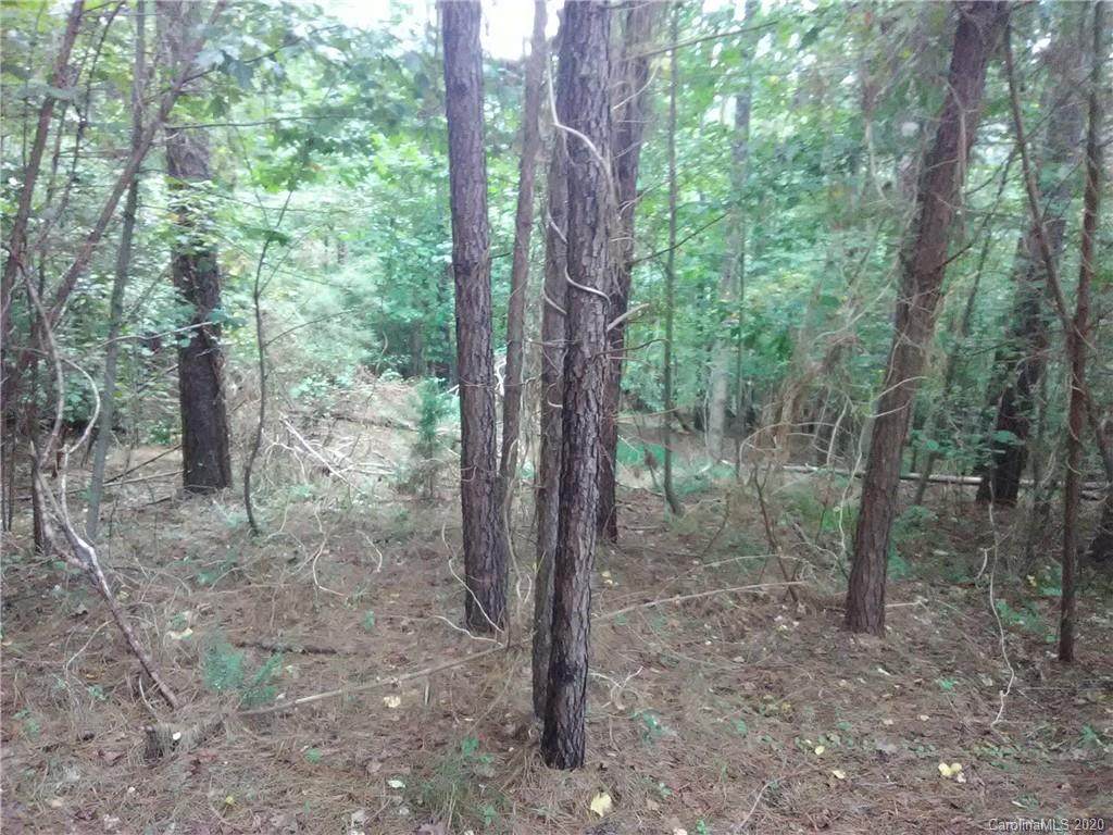 0 Cross Creek Drive - Photo 1