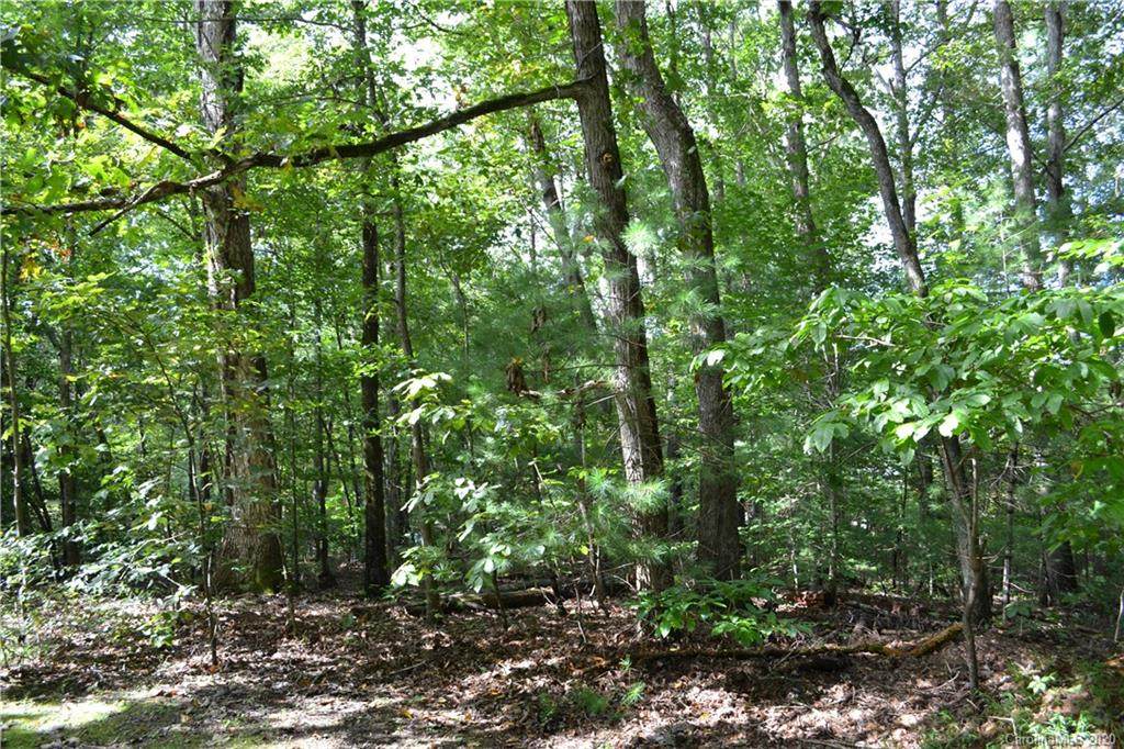 0 33 Wood Dale Street - Photo 1