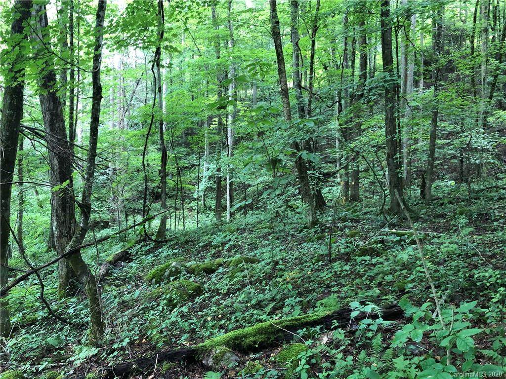 oo Greenbriar Road - Photo 1