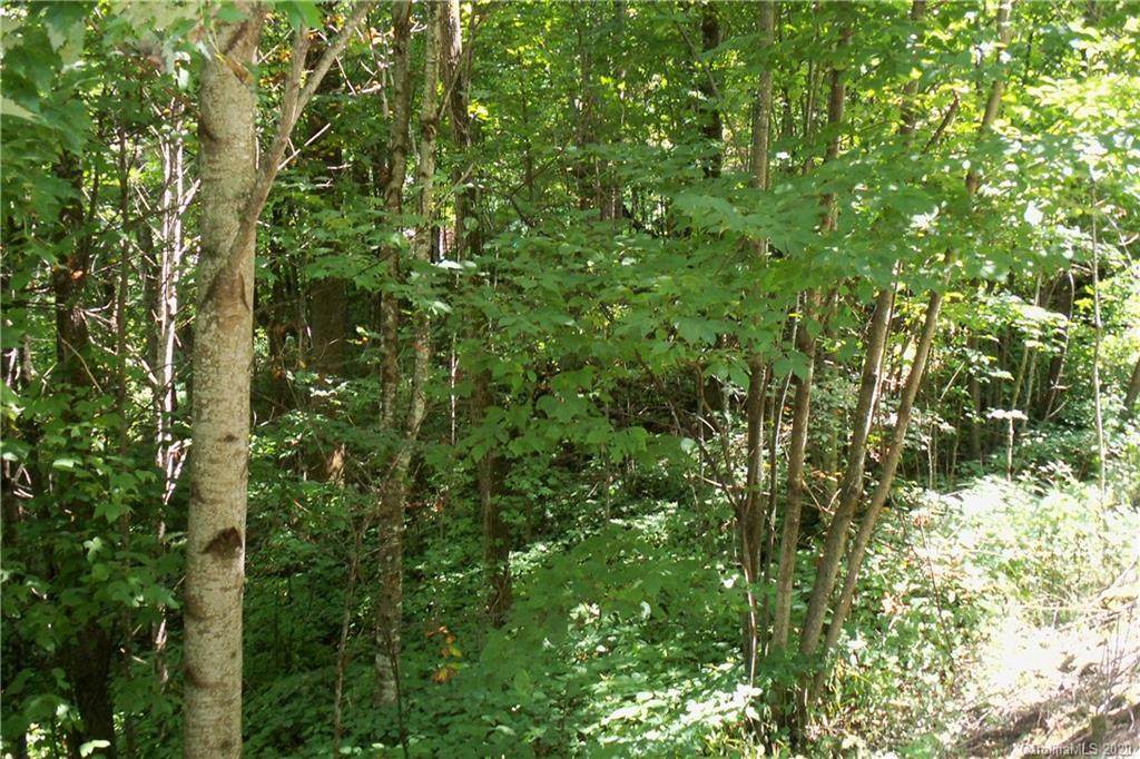 Lot 204 Slippery Rock Road - Photo 1