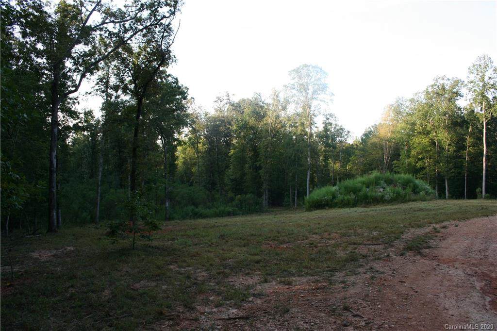 68 Acres Old Settlers Road - Photo 1