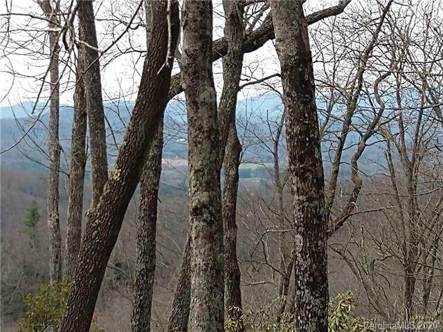 200 Ladys Fern Trail - Photo 1