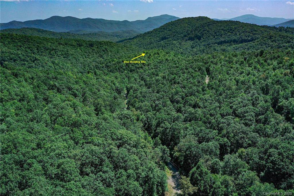 37 +/- Acres Sand Branch Road - Photo 1
