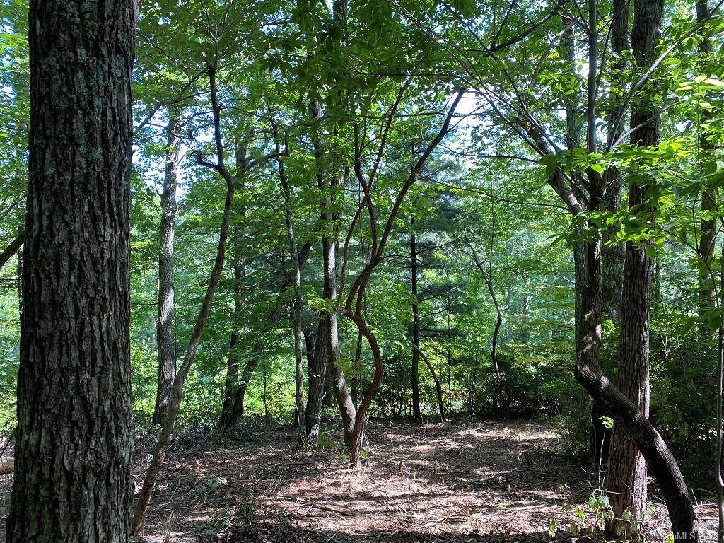 116 Pinnacle Peak Lane - Photo 1