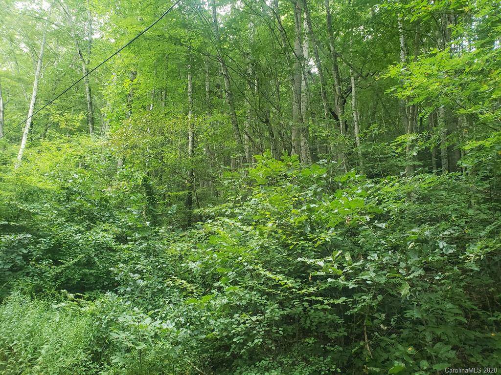 Lot 50 Seeley Cove Road - Photo 1