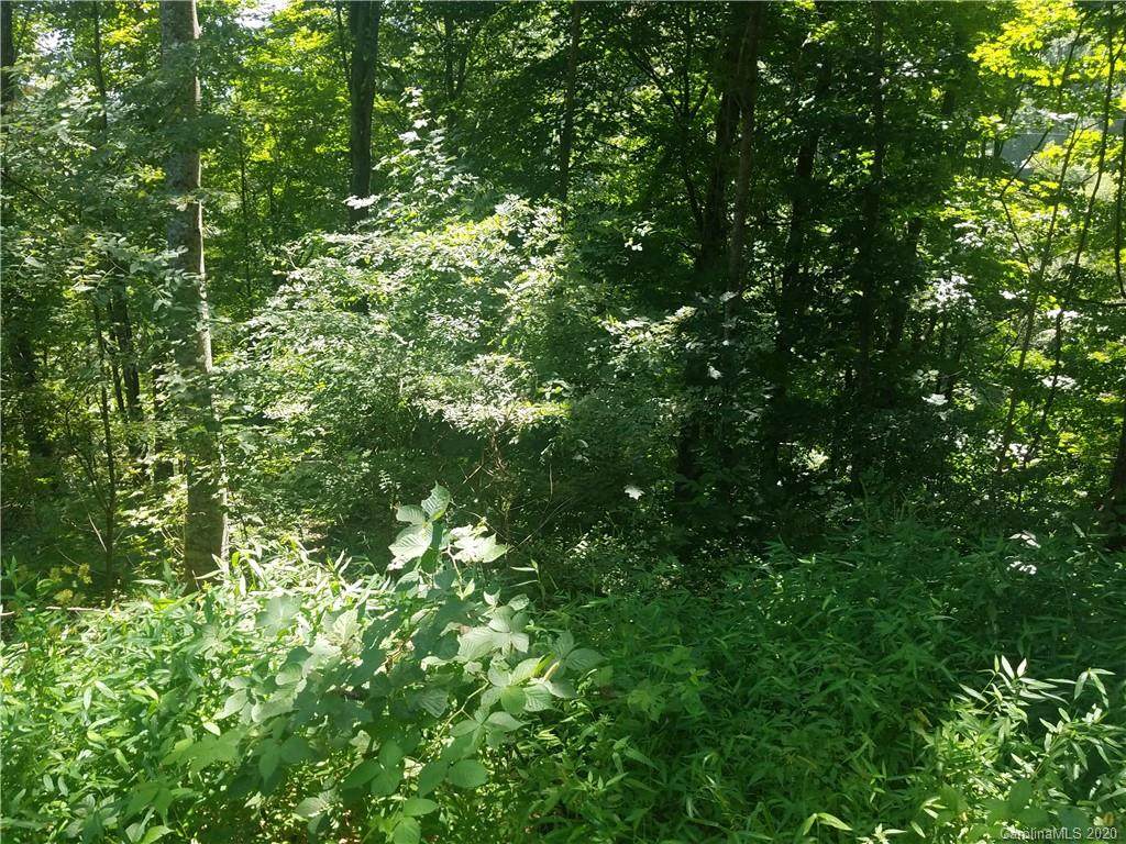 00 Spring Valley Trail - Photo 1
