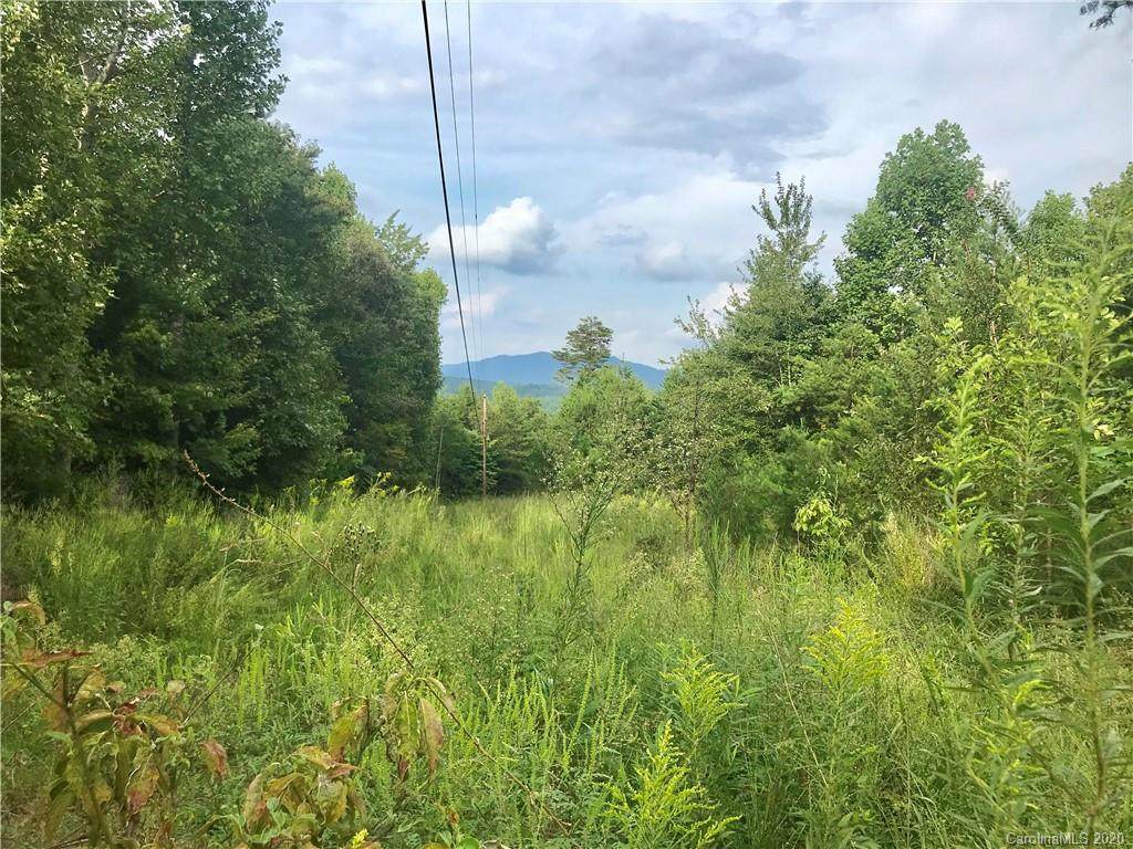 0 Roy Goins Road - Photo 1