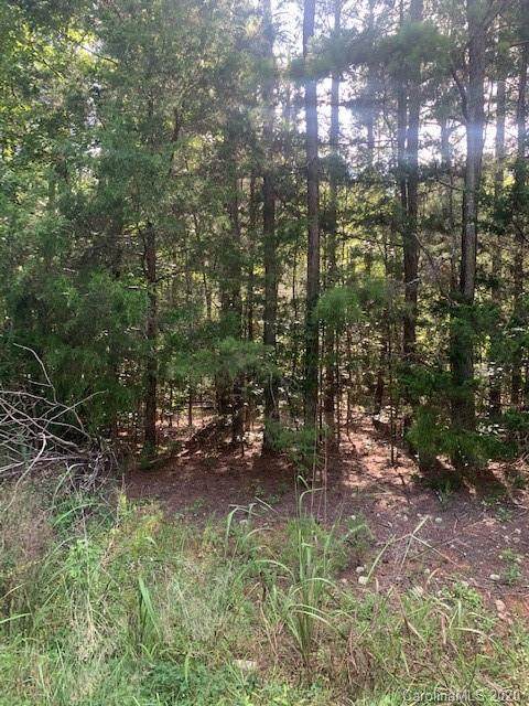 8812 Maggie Robinson Road - Photo 1
