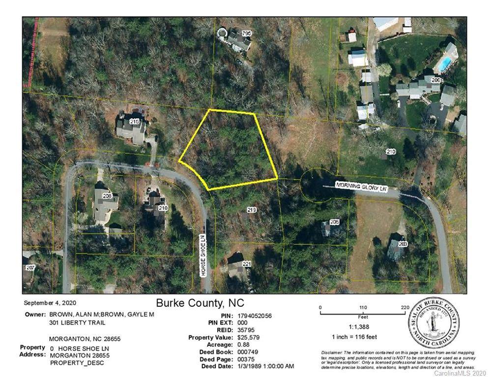 0 Horse Shoe Lane - Photo 1