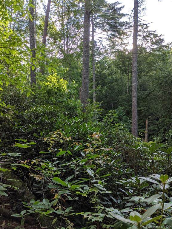 Lot 17 Rock Creek Trail Road - Photo 1
