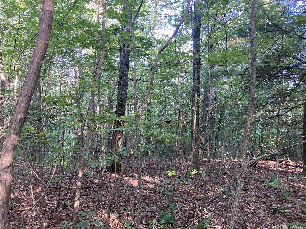 0 Panther Mountain Road - Photo 1