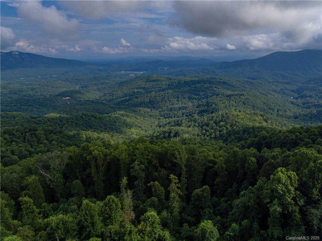 245.5 Acres Nc 226A Highway - Photo 1