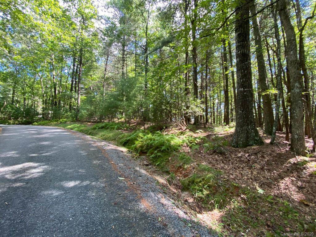 TBD Sassafras Road - Photo 1