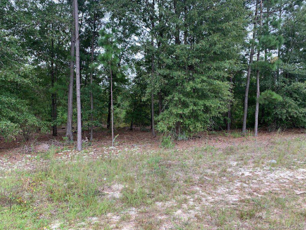 3764 Kershaw Highway - Photo 1