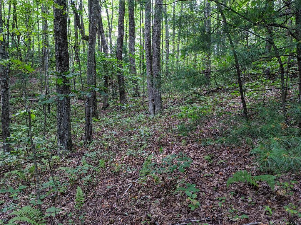 1613 Nancy Mountain Road - Photo 1