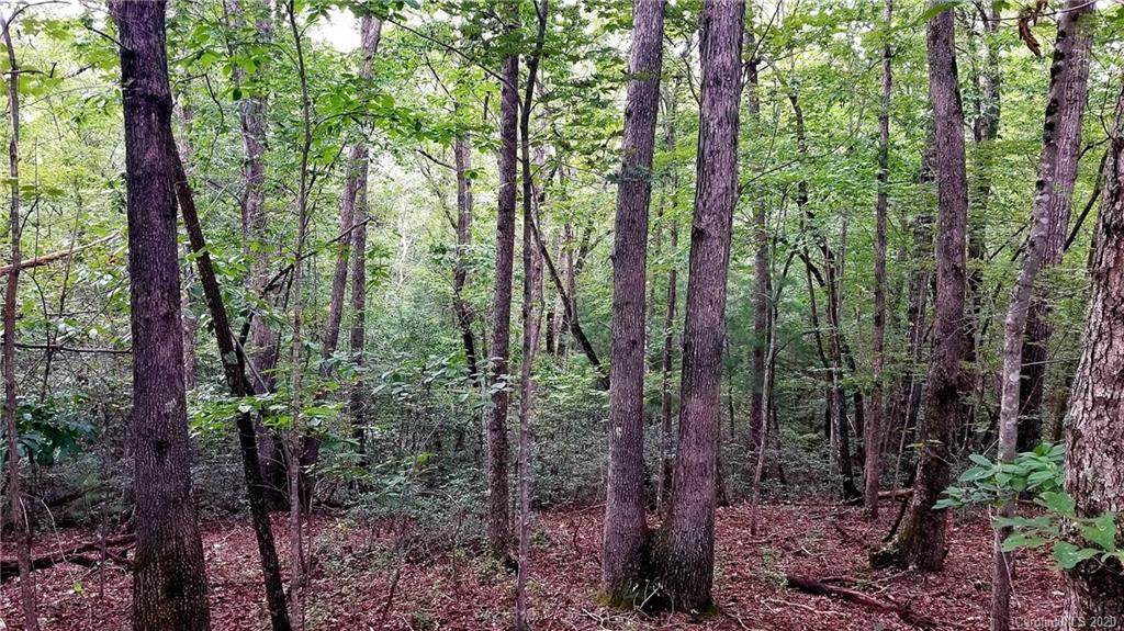 4.81 acre lot on Smoothstem Court - Photo 1