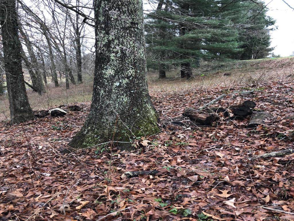 Tract D Fender Lane - Photo 1