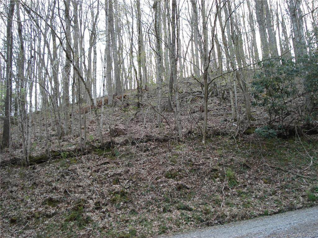 0 English Ridge Drive - Photo 1