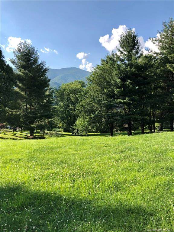 Lot 18 Sams Trail - Photo 1