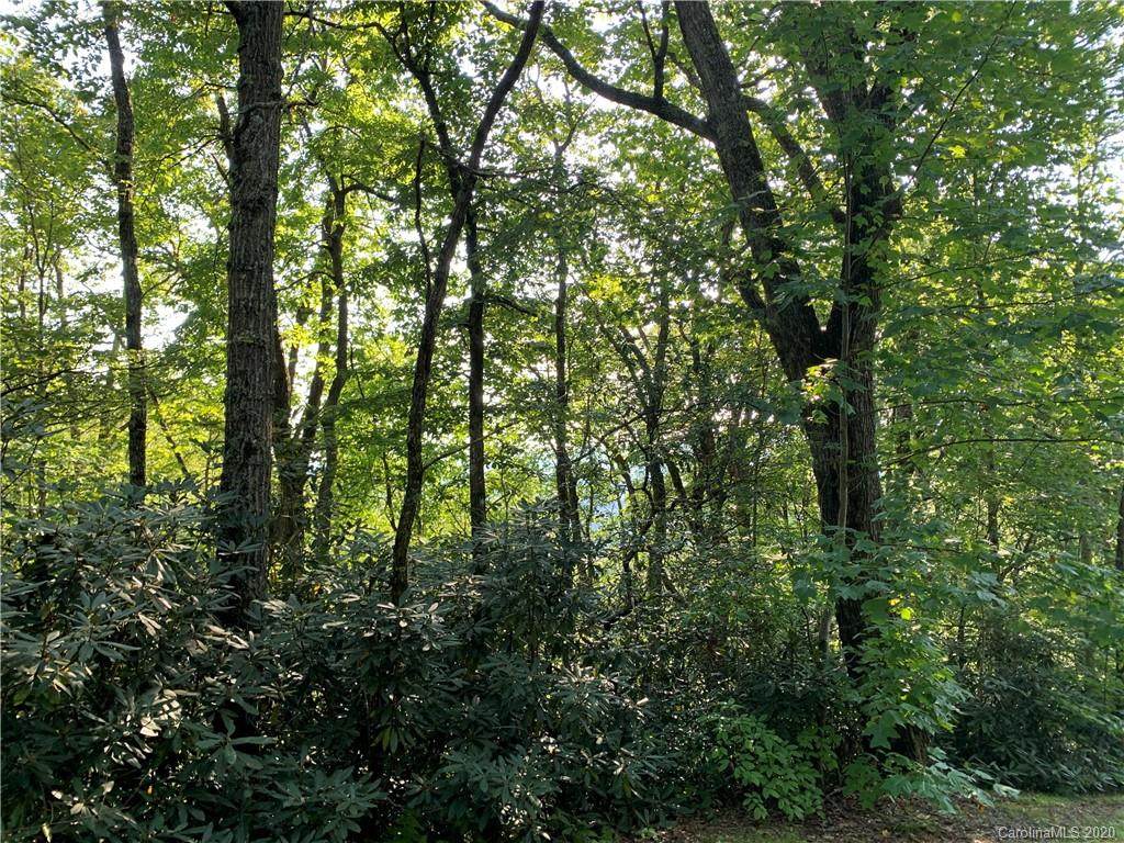 Lot 52 Gardner Lane - Photo 1