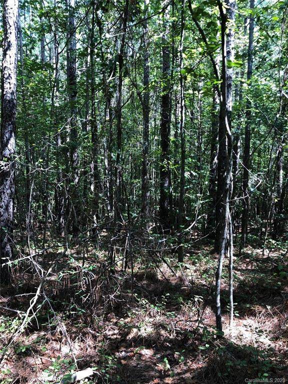 00 Cartledge Creek Road - Photo 1