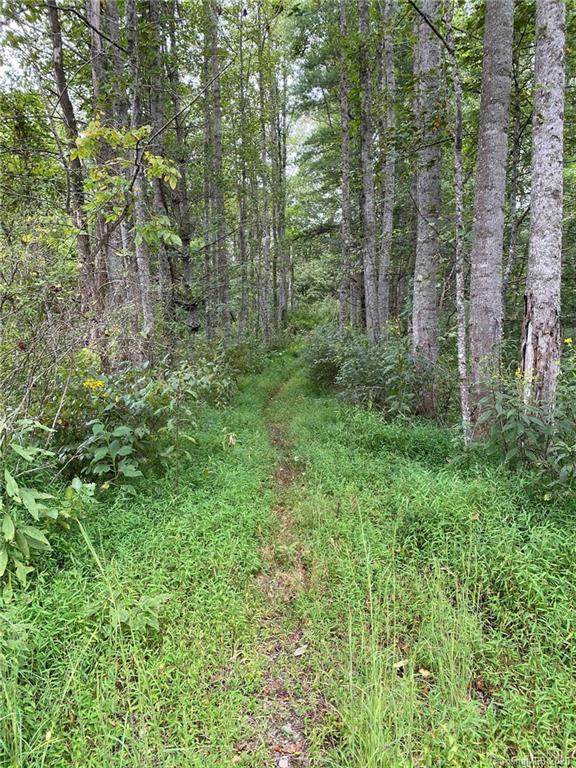 00 Waterwheel Lane - Photo 1