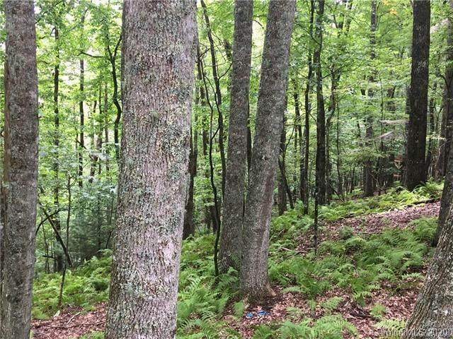 Lot 86 Ogana Court - Photo 1