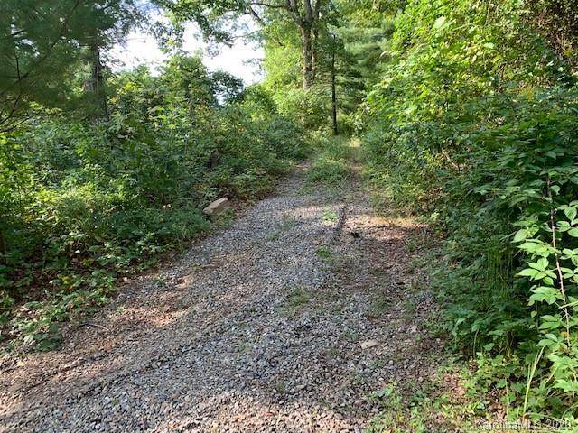Lot 4 Wadsworth Place - Photo 1