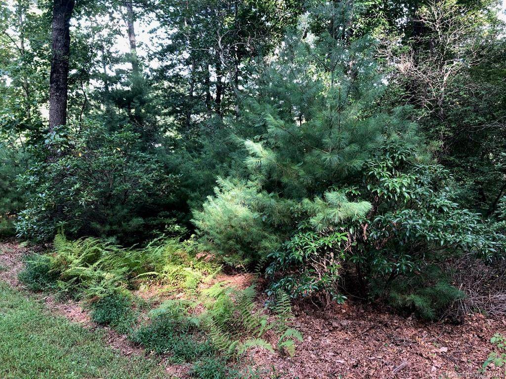 80 Powder Creek Trail - Photo 1
