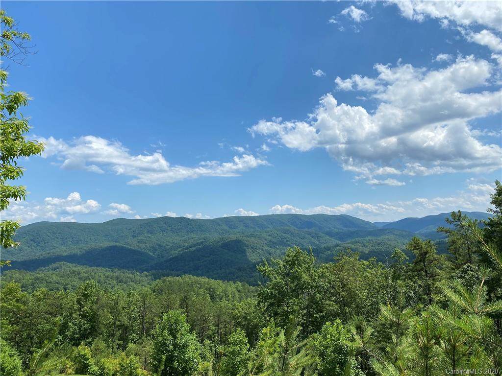 Lot 1320 Round Leaf Lane - Photo 1