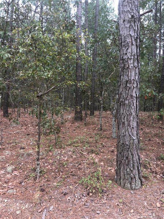 00 Gun O Field Road - Photo 1