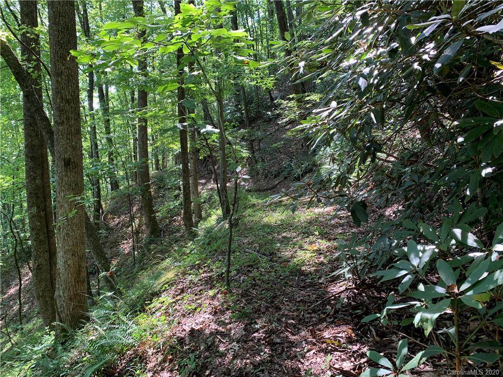 Tract 12-B Pickens Highway - Photo 1