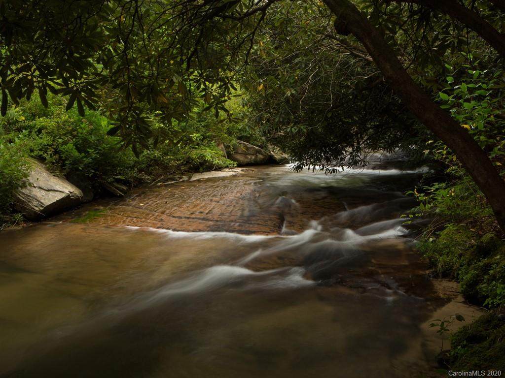 Lot 0 Williamson Creek Road - Photo 1