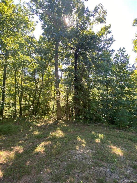 2998 & 0 Laurel Ridge Lane - Photo 1