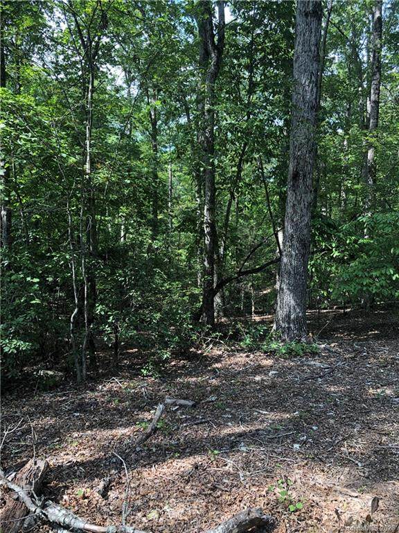 00 Hunting Country Road - Photo 1