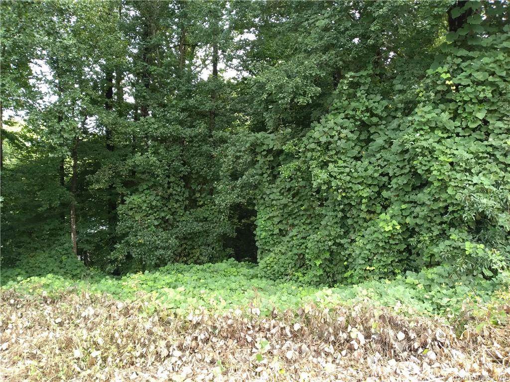 00 Ravenwood Street - Photo 1