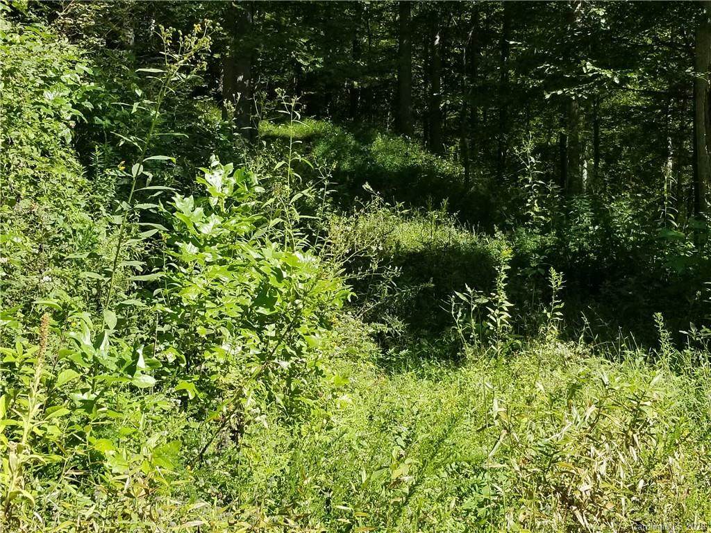 0 Hardwood Road - Photo 1