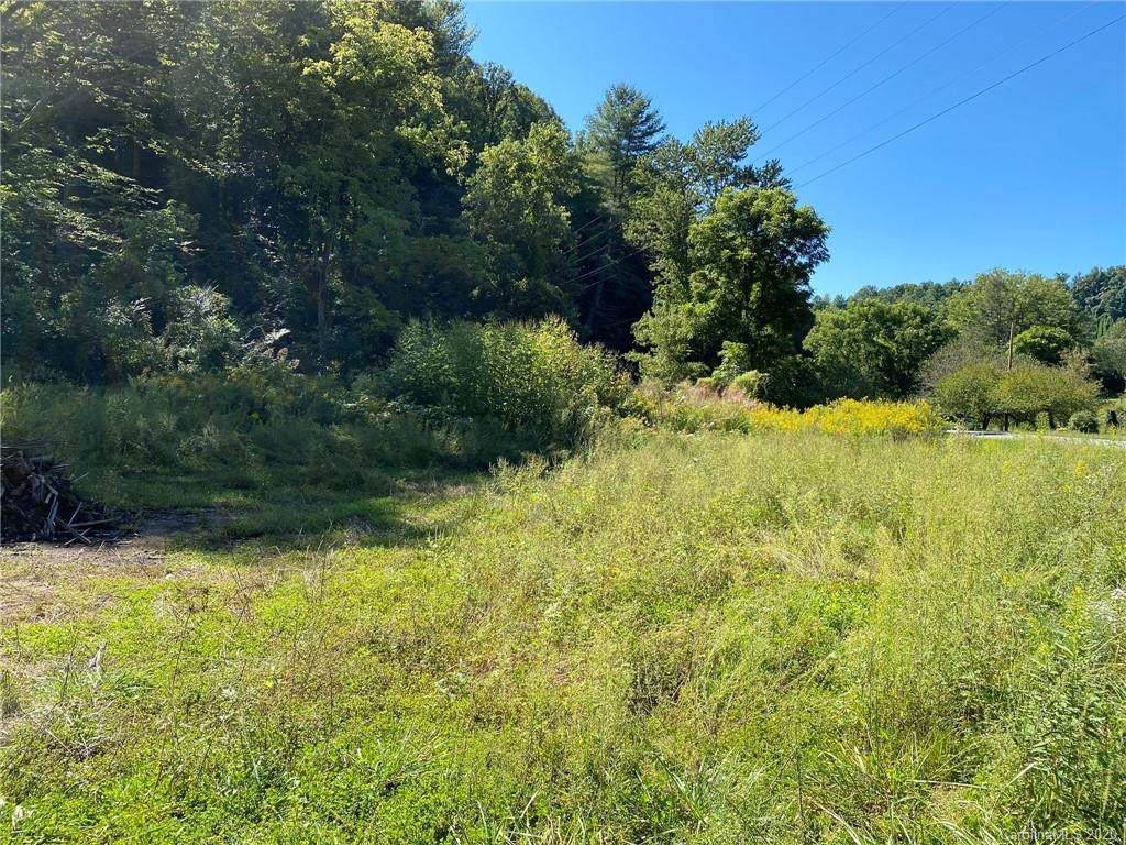 TBD East Fork Road - Photo 1