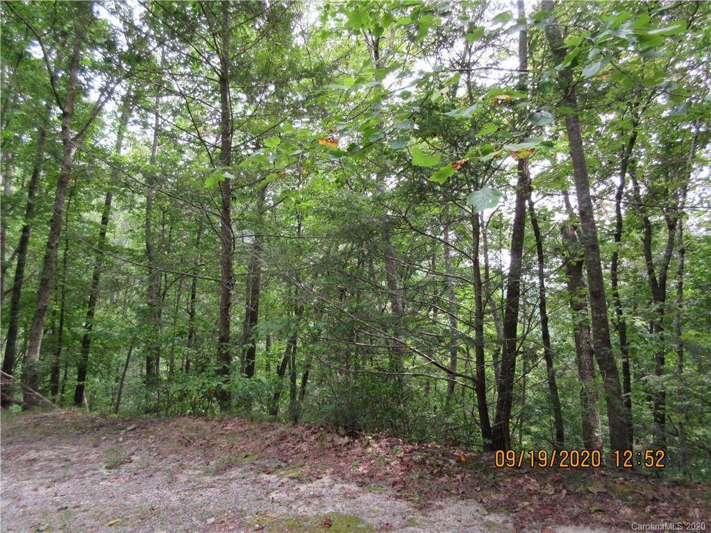 Lot 164 Spanarkel Lane - Photo 1