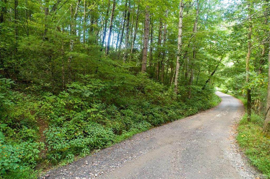 Lot #1 Cedar Creek Farm Road - Photo 1