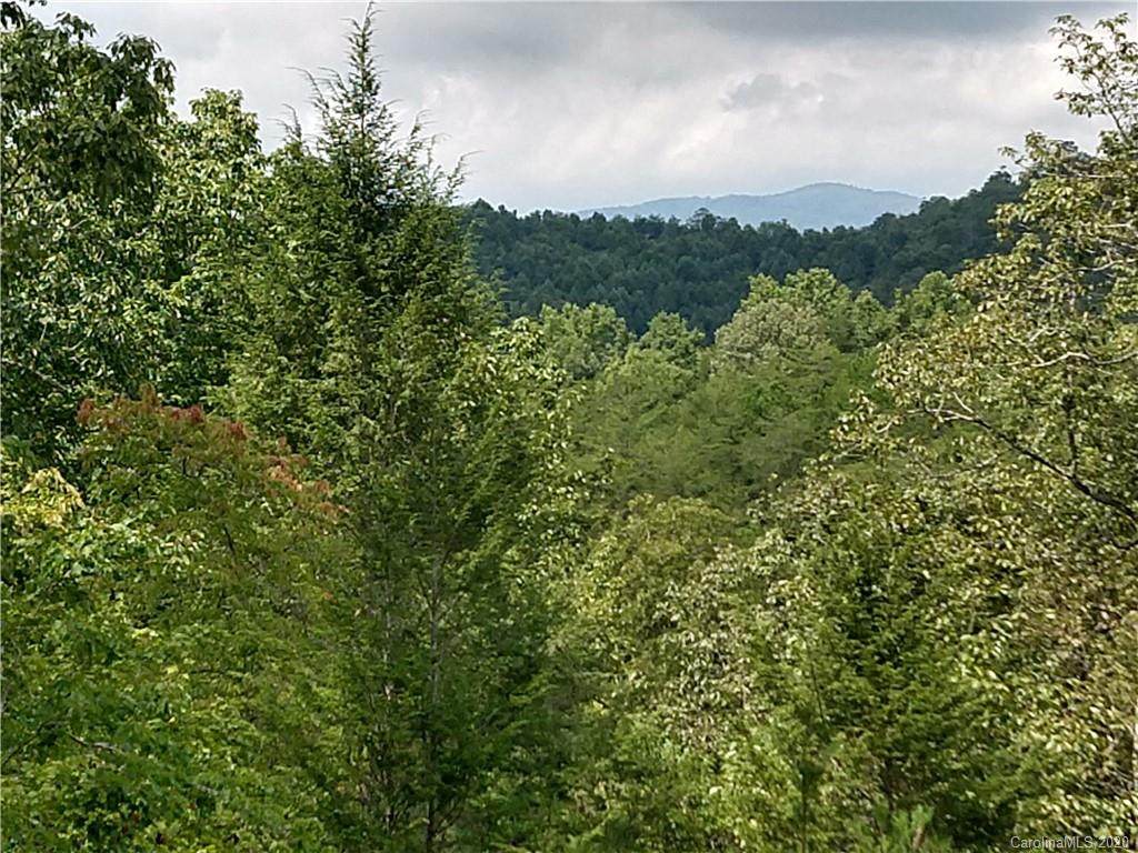Lot 331 Willow Top Lane - Photo 1