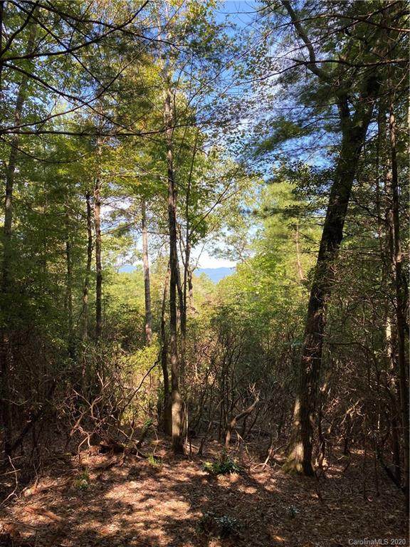 Lot 601 Lost Mine Trail - Photo 1
