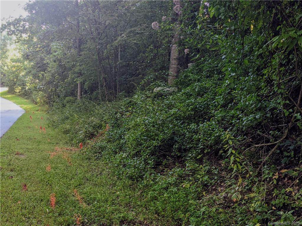 Lot 33 Black Bear Trail - Photo 1