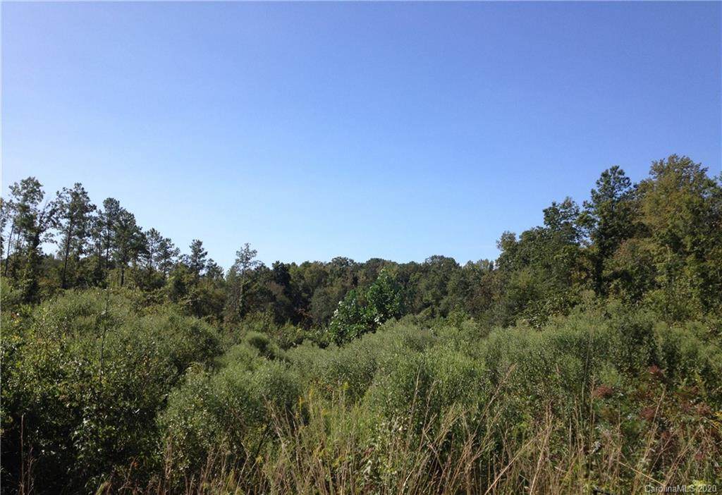 00 Logging Road - Photo 1