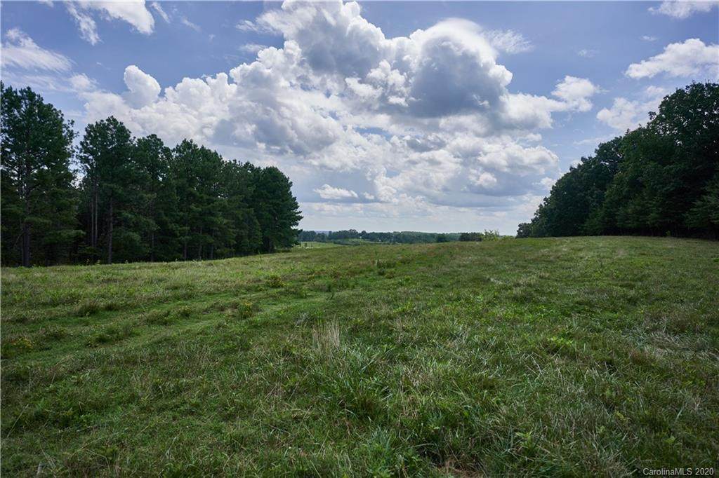000 Salem Church Road - Photo 1